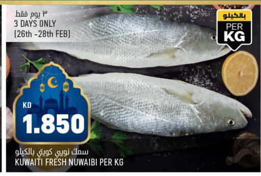 available at Oncost in Kuwait - Jahra Governorate