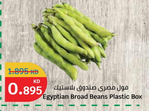 from Egypt available at سيتي هايبرماركت in الكويت - محافظة الأحمدي