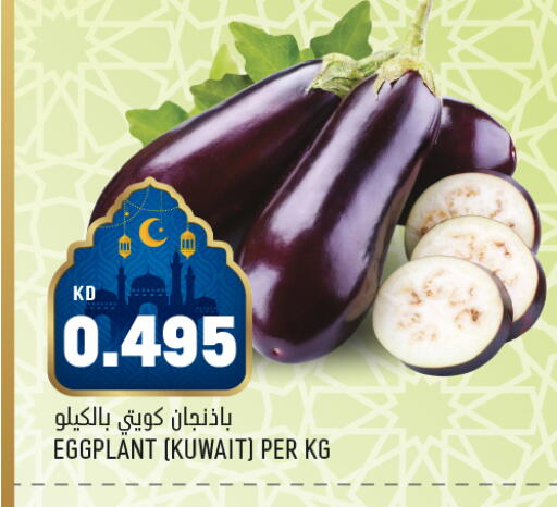 Eggplant from Kuwait available at Oncost in Kuwait - Ahmadi Governorate