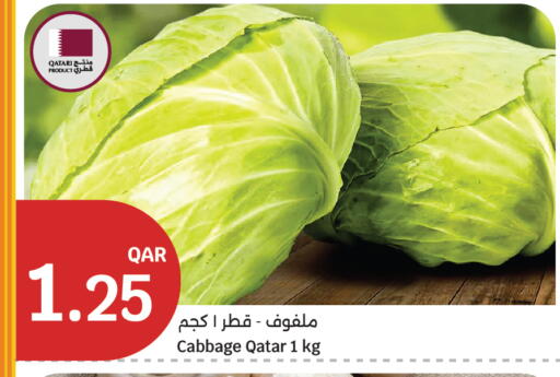 Cabbage from Qatar available at سيتي هايبرماركت in قطر - الضعاين