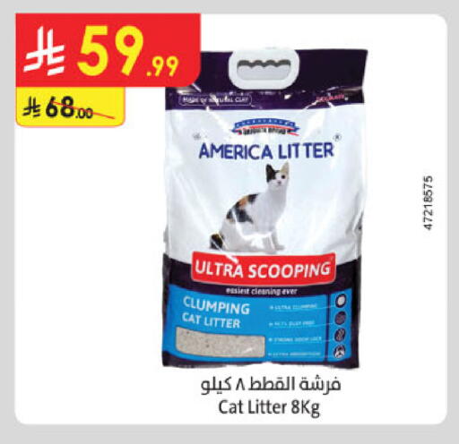 available at Danube in KSA, Saudi Arabia, Saudi - Medina