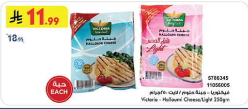 available at بن داود in مملكة العربية السعودية, السعودية, سعودية - المدينة المنورة