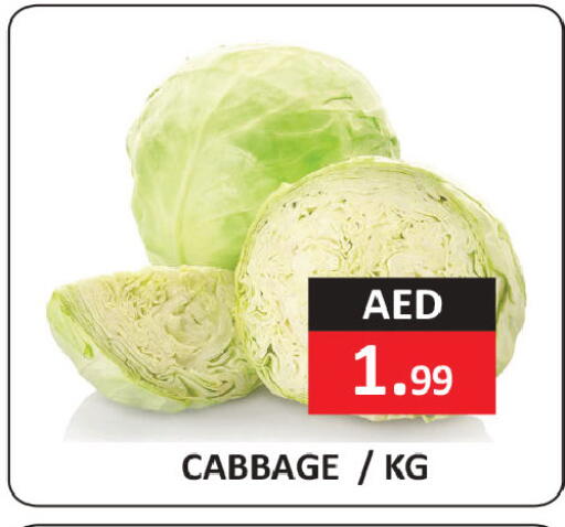 Cabbage available at ريفييرا سوبرماركت in الإمارات العربية المتحدة , الامارات - أبو ظبي