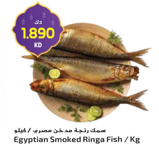 available at جراند هايبر in الكويت - محافظة الأحمدي