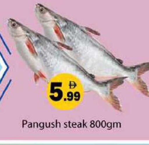 available at زين مارت سوبرماركت in الإمارات العربية المتحدة , الامارات - رَأْس ٱلْخَيْمَة