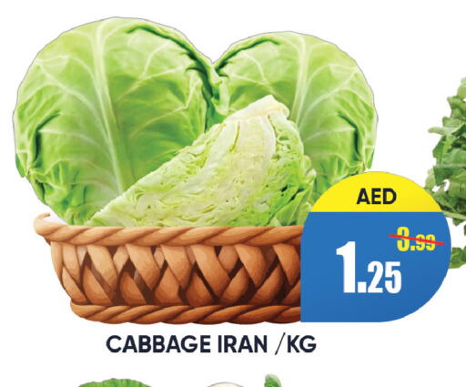 Cabbage from Iran available at Leptis Hypermarket  in UAE - Ras al Khaimah