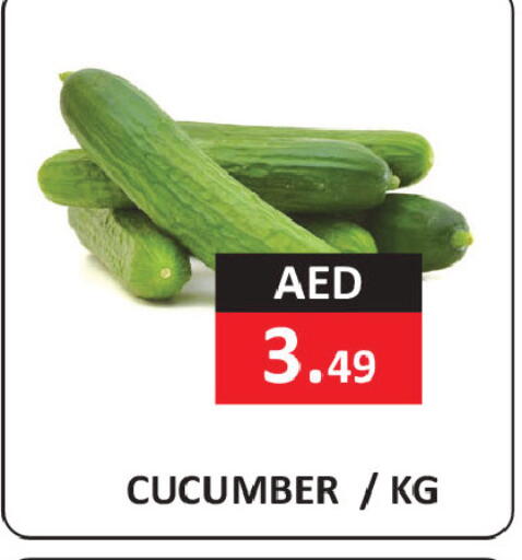 Cucumber available at ريفييرا سوبرماركت in الإمارات العربية المتحدة , الامارات - أبو ظبي