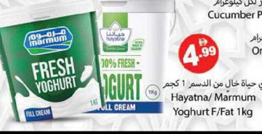 Cucumber available at زين مارت سوبرماركت in الإمارات العربية المتحدة , الامارات - رَأْس ٱلْخَيْمَة