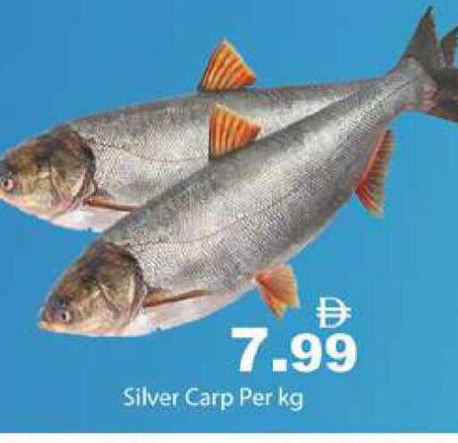 available at زين مارت سوبرماركت in الإمارات العربية المتحدة , الامارات - رَأْس ٱلْخَيْمَة