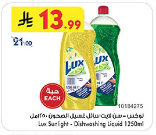 available at بن داود in مملكة العربية السعودية, السعودية, سعودية - المدينة المنورة