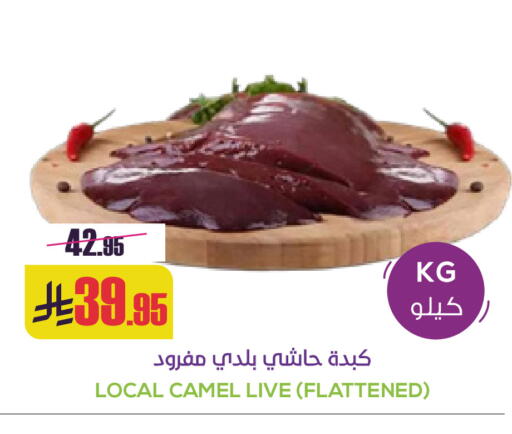 available at سبت in مملكة العربية السعودية, السعودية, سعودية - بريدة