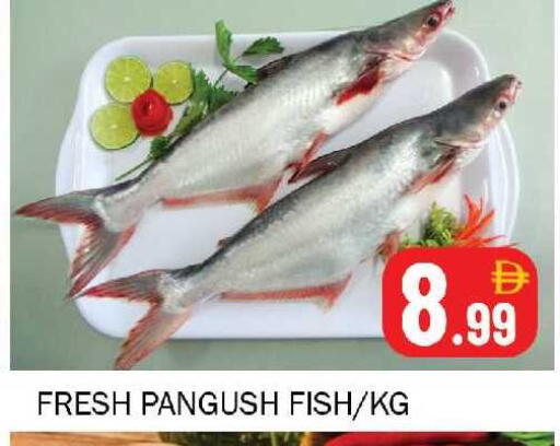 available at سوق المبارك هايبرماركت in الإمارات العربية المتحدة , الامارات - الشارقة / عجمان