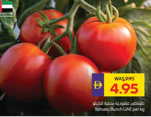 Tomato available at ADCOOP in UAE - Abu Dhabi