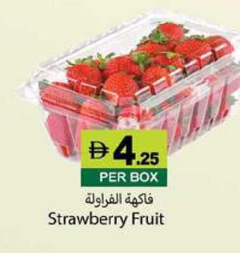 Strawberry available at زين مارت سوبرماركت in الإمارات العربية المتحدة , الامارات - رَأْس ٱلْخَيْمَة