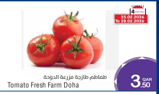 Tomato from Qatar available at ميغا مارت in قطر - الدوحة