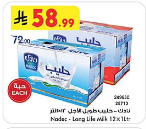 available at بن داود in مملكة العربية السعودية, السعودية, سعودية - المدينة المنورة