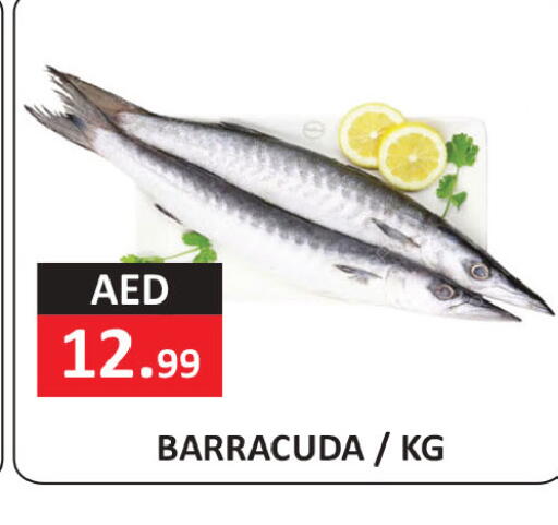 available at ريفييرا سوبرماركت in الإمارات العربية المتحدة , الامارات - أبو ظبي
