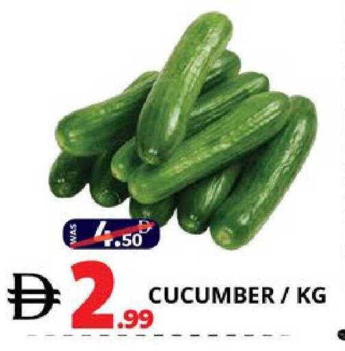 Cucumber available at EXPRESS AL MADEENA HYPERMARKET LLC in UAE - Abu Dhabi