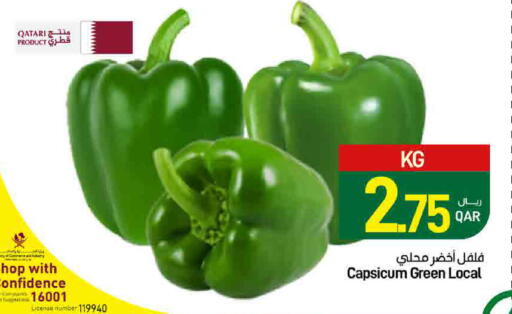 Capsicum from Qatar Canada available at ســبــار in قطر - الدوحة