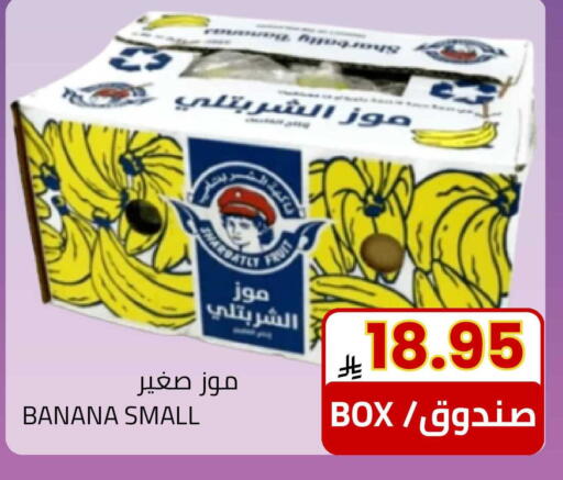 Banana available at أسواق أسترا in مملكة العربية السعودية, السعودية, سعودية - تبوك