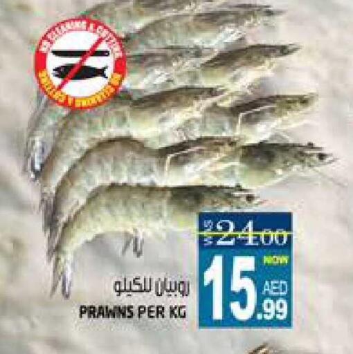 available at هاشم هايبرماركت in الإمارات العربية المتحدة , الامارات - الشارقة / عجمان