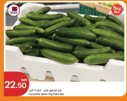Cucumber from Qatar available at City Hypermarket in Qatar - Al Shamal