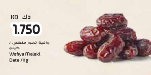 Date available at جراند كوستو in الكويت - محافظة الأحمدي