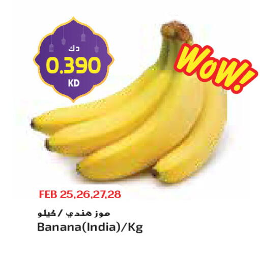 Banana from India available at Grand Costo in Kuwait - Ahmadi Governorate