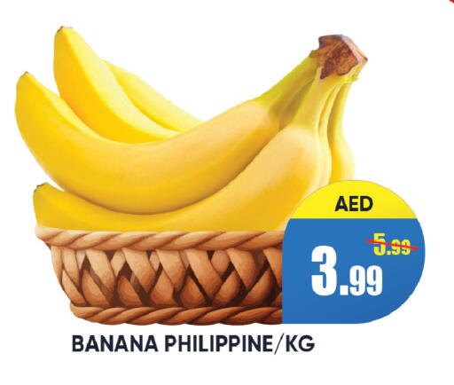 Banana from Philippines available at ليبتس هايبرماركت in الإمارات العربية المتحدة , الامارات - رَأْس ٱلْخَيْمَة
