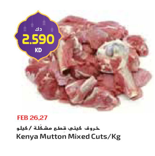 available at جراند كوستو in الكويت - مدينة الكويت