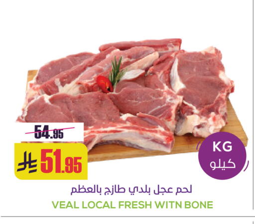 available at سبت in مملكة العربية السعودية, السعودية, سعودية - بريدة