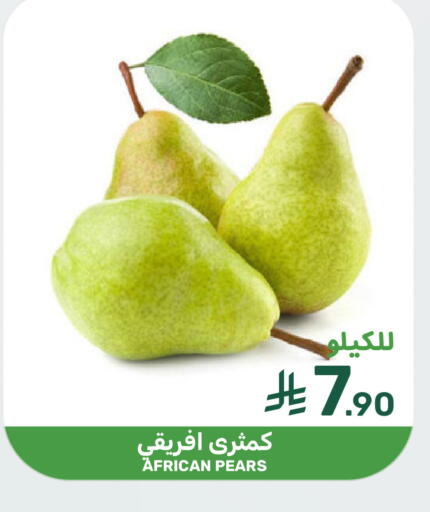 available at Mazaya in KSA, Saudi Arabia, Saudi - Qatif