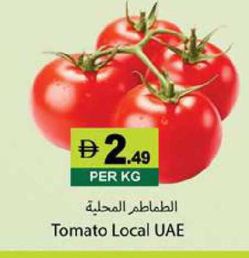 Tomato available at زين مارت سوبرماركت in الإمارات العربية المتحدة , الامارات - رَأْس ٱلْخَيْمَة