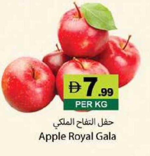 Apple available at Zain Mart Supermarket in UAE - Ras al Khaimah