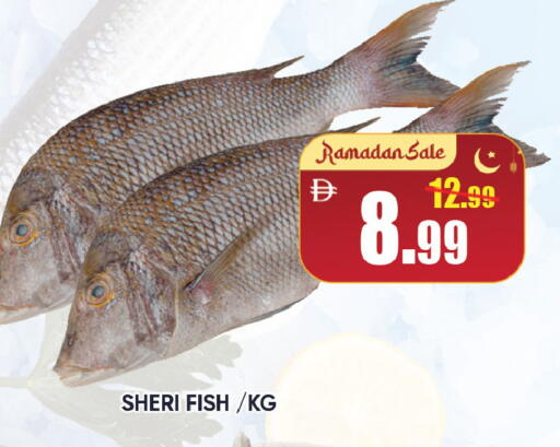 available at Leptis Hypermarket  in UAE - Al Ain