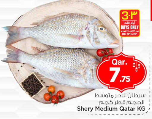 available at مارك & سيف in قطر - الضعاين