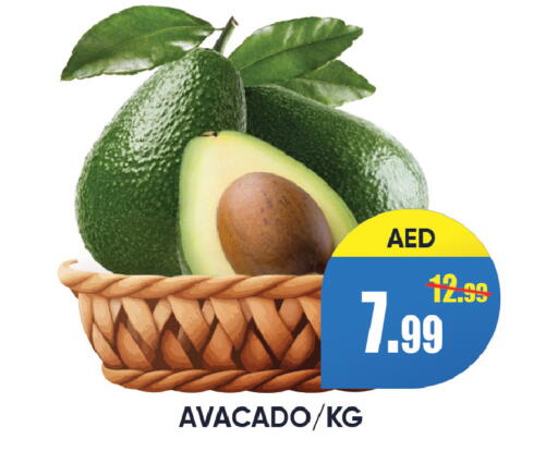 available at ليبتس هايبرماركت in الإمارات العربية المتحدة , الامارات - رَأْس ٱلْخَيْمَة