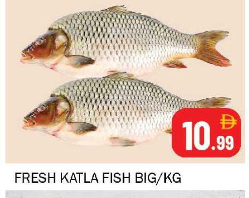 available at سوق المبارك هايبرماركت in الإمارات العربية المتحدة , الامارات - الشارقة / عجمان