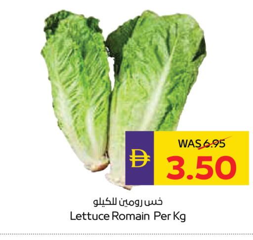 Lettuce available at أدكووب in الإمارات العربية المتحدة , الامارات - أبو ظبي
