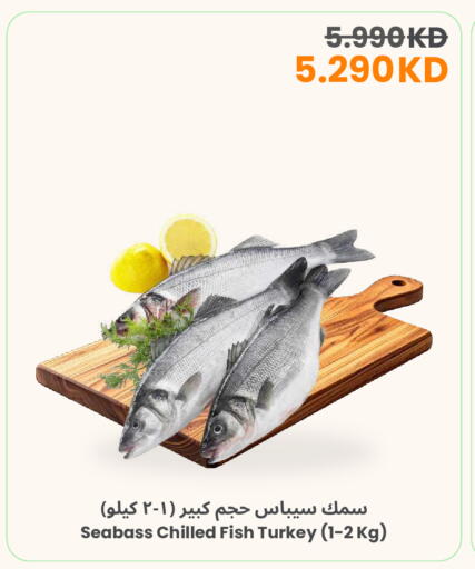 available at مركز سلطان in الكويت - مدينة الكويت