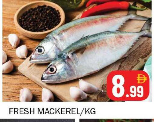 available at سوق المبارك هايبرماركت in الإمارات العربية المتحدة , الامارات - الشارقة / عجمان