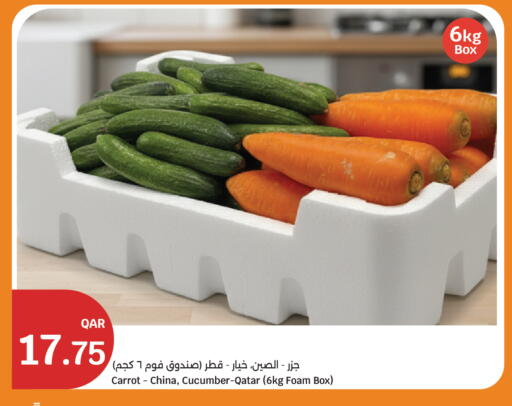 Carrot Cucumber from China Qatar available at سيتي هايبرماركت in قطر - الضعاين
