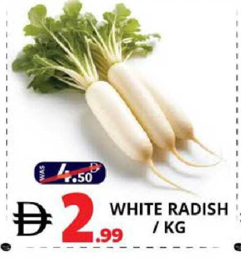 Radish available at EXPRESS AL MADEENA HYPERMARKET LLC in UAE - Abu Dhabi