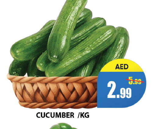 Cucumber available at Leptis Hypermarket  in UAE - Ras al Khaimah