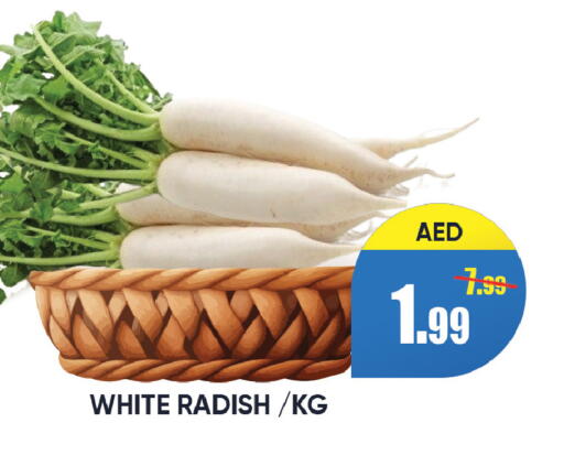 Radish available at Leptis Hypermarket  in UAE - Ras al Khaimah