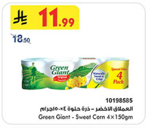 available at بن داود in مملكة العربية السعودية, السعودية, سعودية - المدينة المنورة