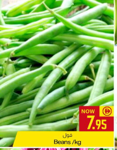 available at Meem Sajidha in UAE - Fujairah