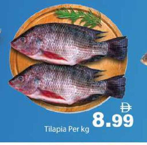 available at زين مارت سوبرماركت in الإمارات العربية المتحدة , الامارات - رَأْس ٱلْخَيْمَة