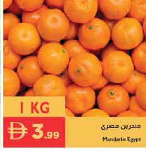 Mandarin from Egypt available at إسطنبول سوبرماركت in الإمارات العربية المتحدة , الامارات - أبو ظبي