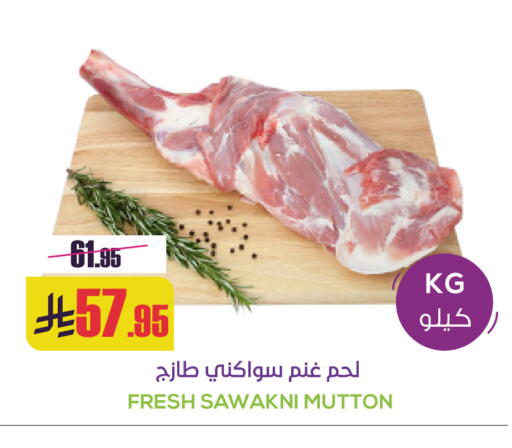 available at سبت in مملكة العربية السعودية, السعودية, سعودية - بريدة